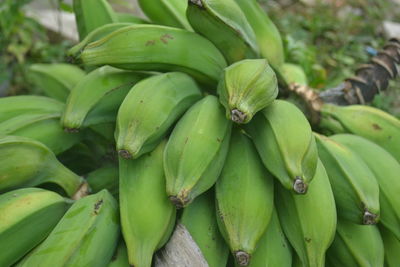 Full frame shot of fresh green fruits