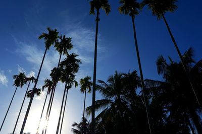 Low angle view of palm trees against blue sky