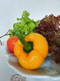 Close-up of bell peppers in plate