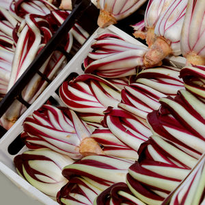 High angle view of candies for sale