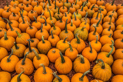 Full frame shot of pumpkins at market stall