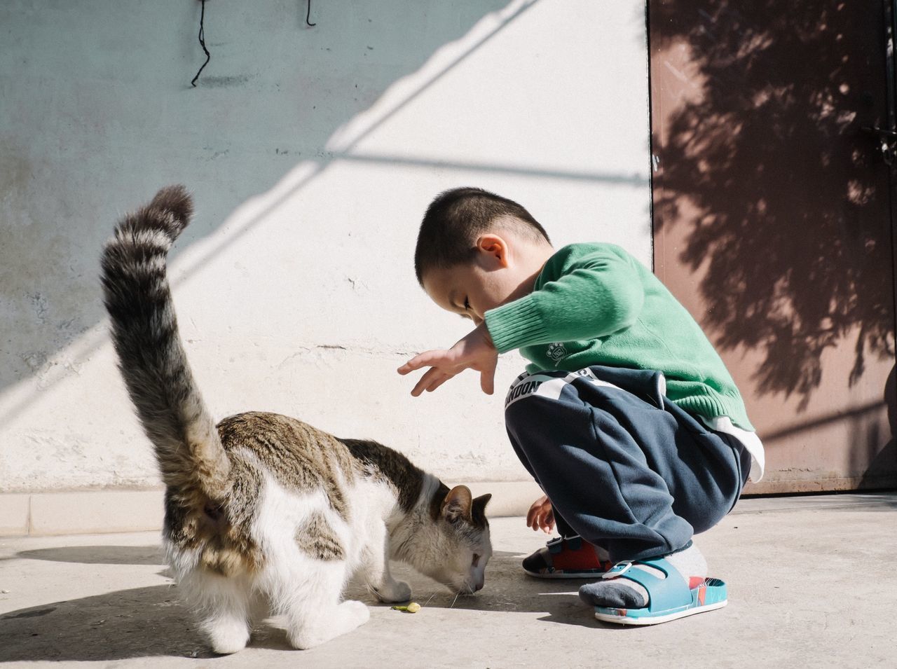 child, childhood, pets, dog, one person, full length, baby, males, animal, one animal, people, children only, playing, friendship, day, animal themes, tail, outdoors