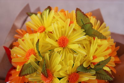 High angle view of yellow flowering plant