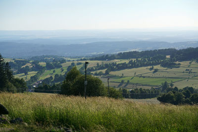 Scenic view of agricultural field against sky