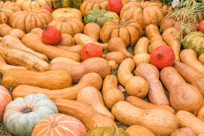 Halloween autumn decoration of pumkins. rural market concept. pumpkin background