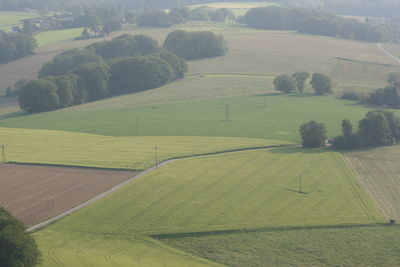 High angle view of agricultural field