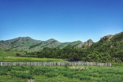 Scenic view of field against clear blue sky