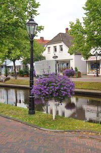 View of trees in city