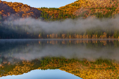 Scenic view of lake and trees on mountain during autumn