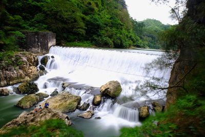 Scenic view of waterfall in forest