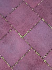 High angle view of pink umbrella on footpath