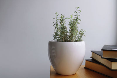 flowerpot