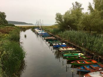 Boats moored on grass by trees against sky