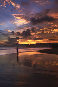 Boy standing on shore at beach during sunset