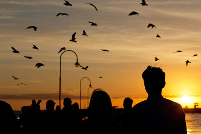 Silhouette birds flying over people against sky during sunset
