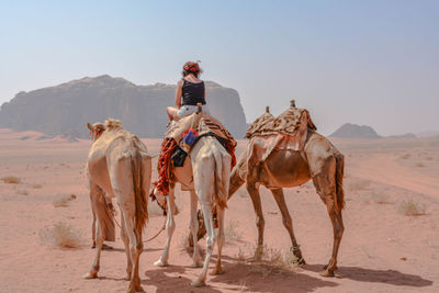 Horse riding horses in desert against sky