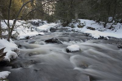 View of snow covered trees in forest