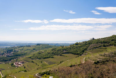 Scenic view of agricultural field against sky