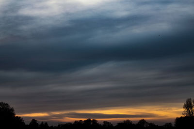 Low angle view of silhouette trees against sky during sunset