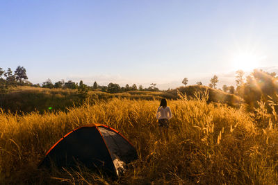 Rear view of woman camping on grassy field against sky during sunset