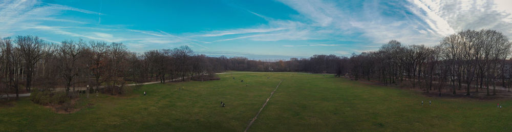 Trees on field against sky