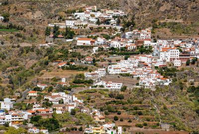 Houses in town