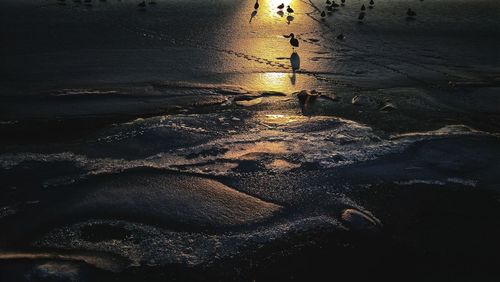 High angle view of wet beach during sunset