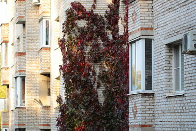 View of old building