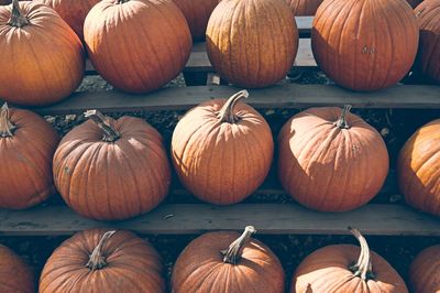 Full frame shot of pumpkins for sale at market