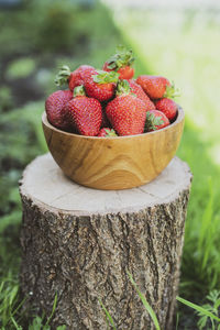 Close-up of fresh fruits on wood in field