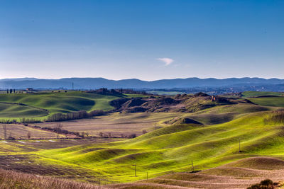 Scenic view of agricultural field against sky