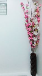 Flowers blooming on tree