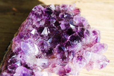 Close-up of purple on rock