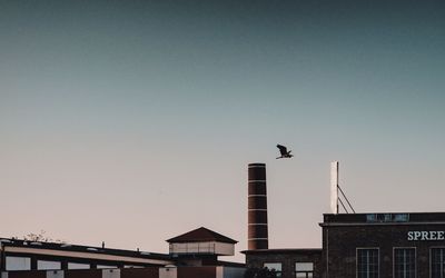 Low angle view of bird perching on building against sky