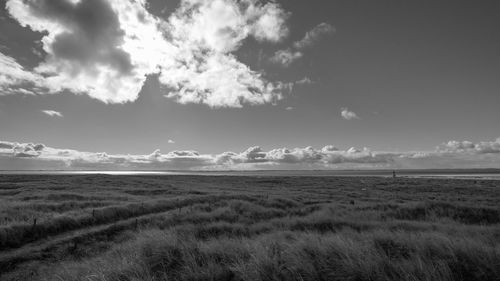 Scenic view of field against sky