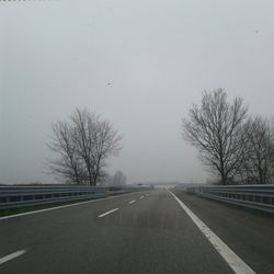 Road along bare trees