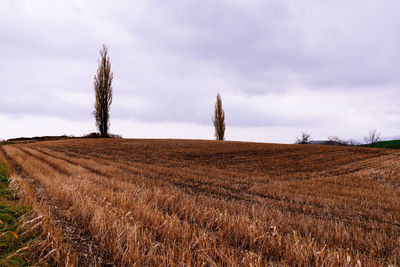 Hay bales on field against sky