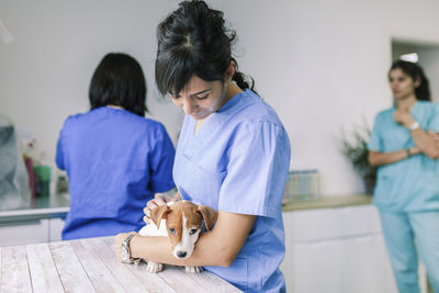 Close-up of veterinarian examining dog at hospital