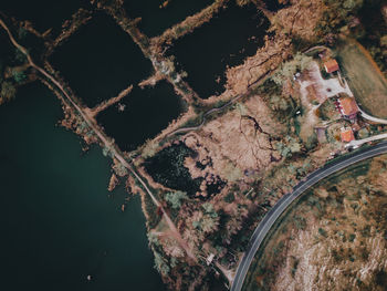 High angle view of road by trees