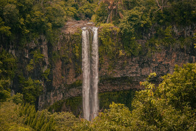 Scenic view of waterfall in forest