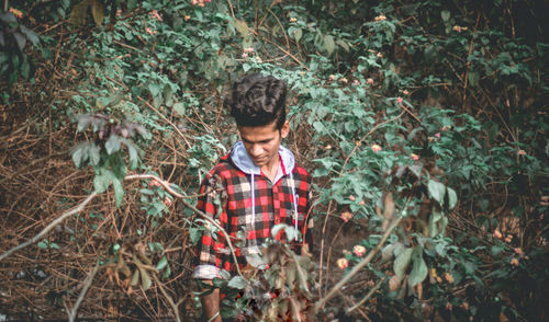 Young man looking down while standing amidst plants in forest