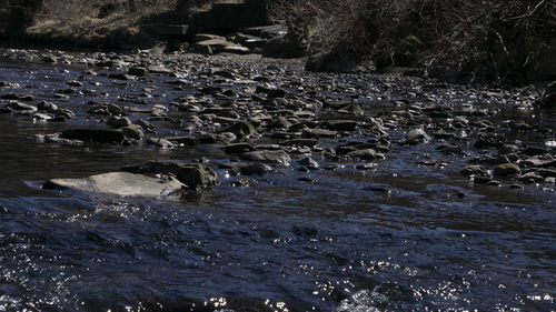 River flowing through rocks in forest
