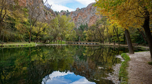 Scenic view of lake in forest during autumn