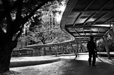 Full length of woman walking in park