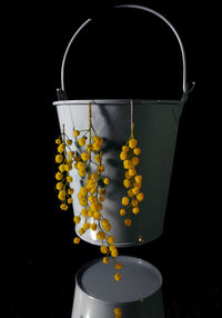 Close-up of yellow flowering plant against black background