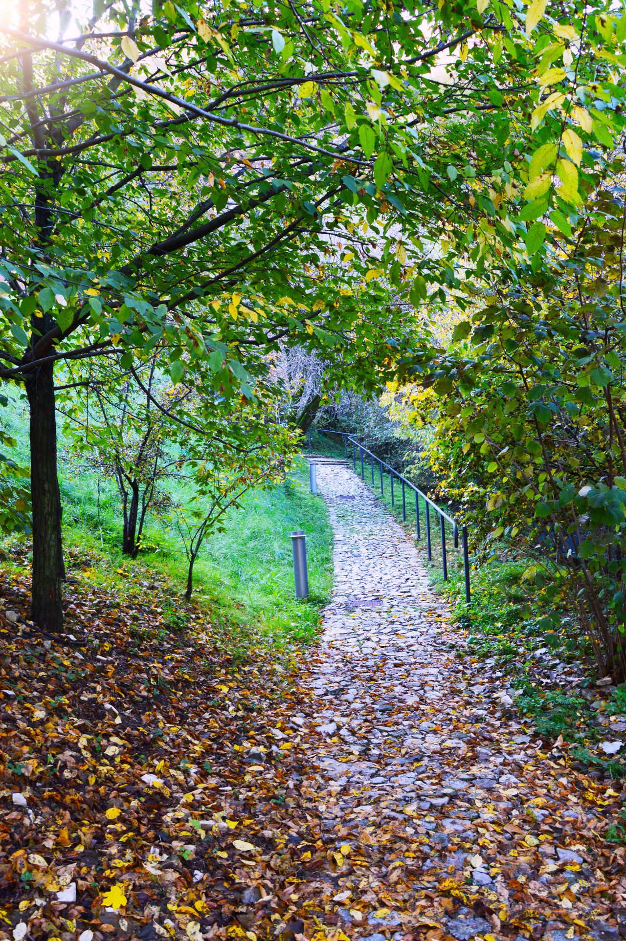 Brescia landscape