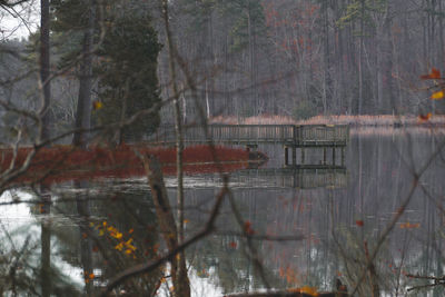 Reflection of trees on lake during autumn