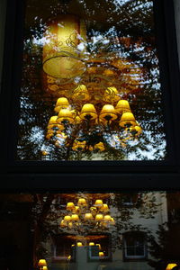 Low angle view of various flowers in glass window