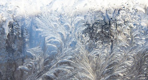 Frost pattern on a window glass in the winter 