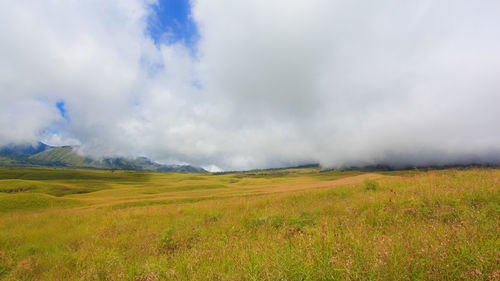 Scenic view of field against sky